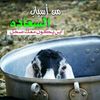 al.of_88