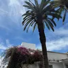 khadeejah_664