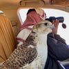 muneef2634