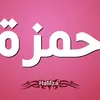 hamzazourkmarrake