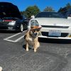 360_prelude