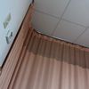 xxc_we_287