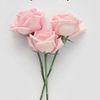 reema_soul