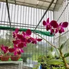 m.h.trang95
