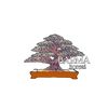 barma_bonsai