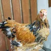 Centra Farm