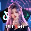 pitkulbet_12