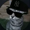 alexx_proveencio