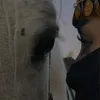 مـهره 🦅✨