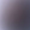 userisrandom.random