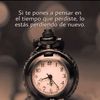 junirodriguez4