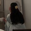 sara_0x7
