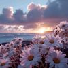 hayati_fantasy