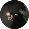 ناديـه | الطائف ♋︎📸