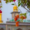 حيـــــــاة أُخــرى 🍁