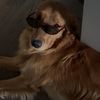 bauerthegolden1