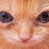 effiesunshine13
