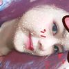 enni28