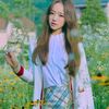 zin_boo