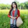 hamynguyen75