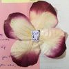 1b.nny