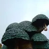 alsrssbl
