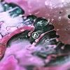 toujours_ri1