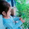 aqillagendhis