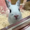usersnj8abr5tl