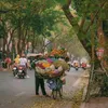 hoaithuongvespa