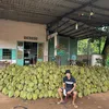 nguyenhoang1702