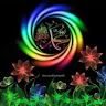 mohamedyusuf567