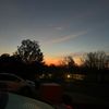 madi_crim