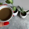 طيبـة ʚଓ