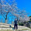 hanh_686868