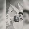 ahmadfaraz7669
