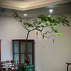 Muội hồng bonsai 36