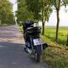 thiencuong1999