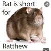 ratslikepunk