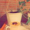 sosita335