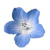 miimi1.9