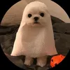 penggwin12