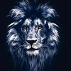 desert.lion1