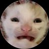 smellytoesboi1