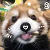 kkyumjii