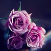 maraim_123456