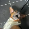 teddiehutchinson5
