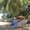 anhminh_95_meriwin