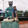 huavang6