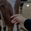 amina.sa.167u7